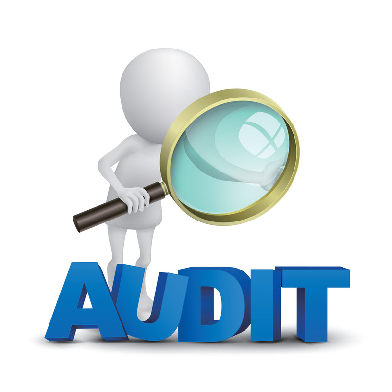 Accounting, Auditing Services in Delhi